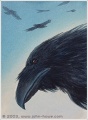 Thumbnail for version as of 15:59, 2 May 2006