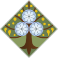 Thumbnail for version as of 16:12, 24 March 2021
