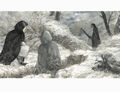 Thumbnail for version as of 16:12, 24 July 2015