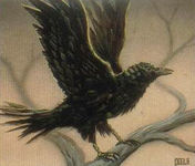 Roäc the Raven in MECCG