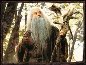 Decipher - Radagast.JPG