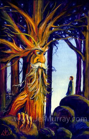 Jef Murray - Treebeard.jpg