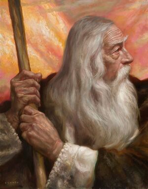 Donato Giancola - Gandalf-Caradhras.jpg