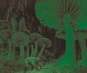 Ted Nasmith - Mushroom Gatherer.jpg
