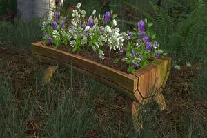 Raised Planter of Wild Clover.jpg