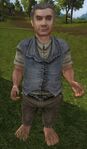 Tolman Cotton in The Lord of the Rings Online