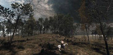 Fighting in Ithilien