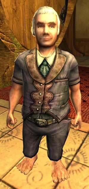 The Lord of the Rings Online - Adelard Took.jpg