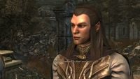 Elladan in The Lord of the Rings: War in the North