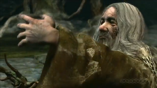 Radagast in LOTR- War in the North-1.png