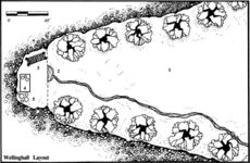 Middle-earth Role Playing